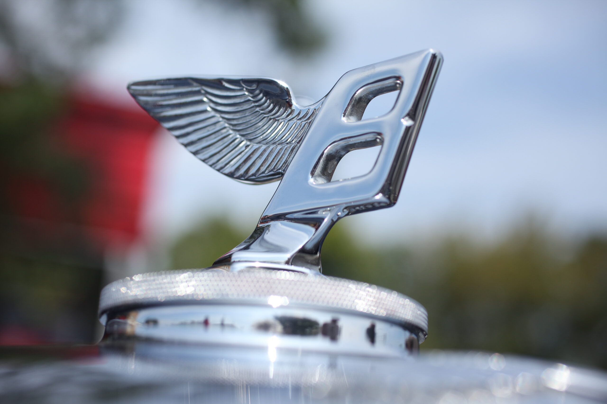 1950 Bentley Mk VI hood ornament.  (©Photo by Segura)