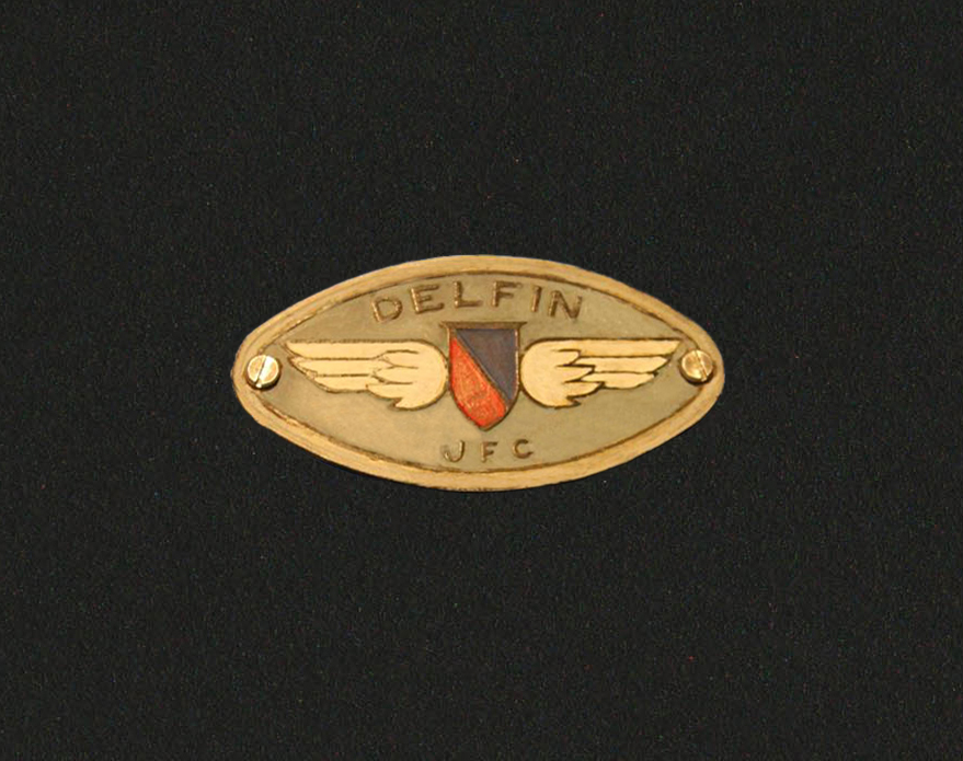 Delfin JFC emblem.